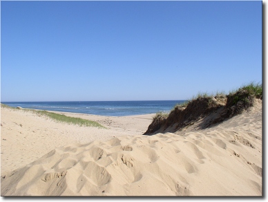 pic2mail copy of Beaches 012.jpg