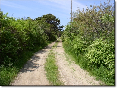 pic2mail copy of Cottages 018.jpg