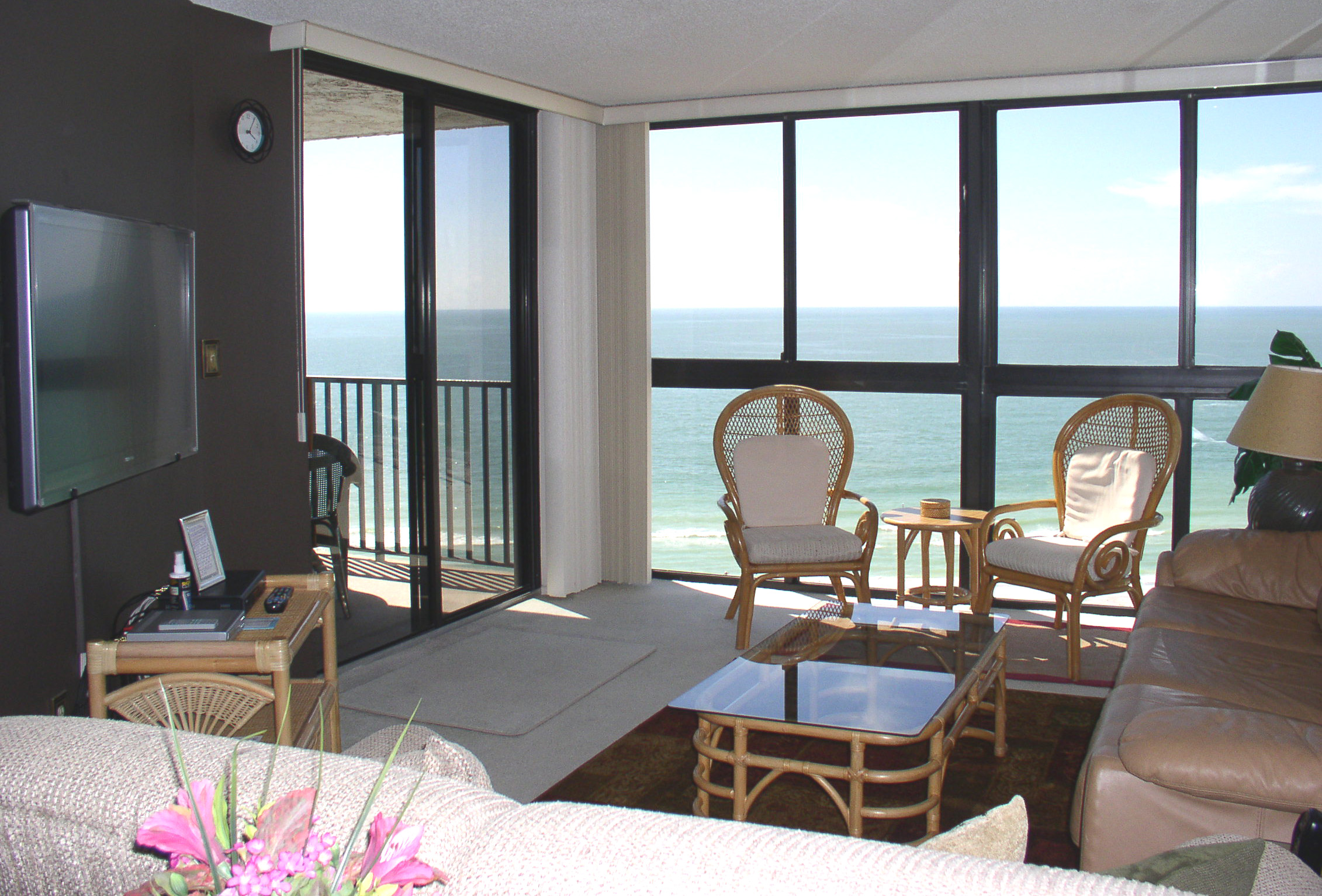 Living Room Views